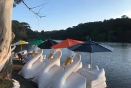 Pedalinhos no Lago