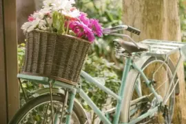 פאזל של simples