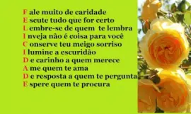 FELICIDADE jigsaw puzzle