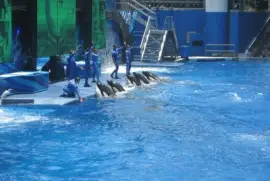 Sea World 1, 2011-Disney   's Travel