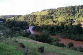 Rio Turvo jigsaw puzzle