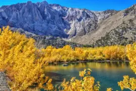 NATUREZA jigsaw puzzle