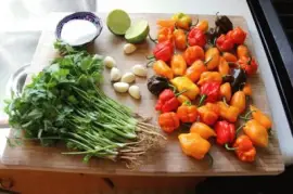 פאזל של Vegetable