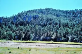Sierra Tarahumara, MÃ©xico. jigsaw puzzle