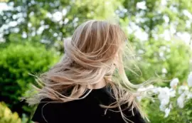 Imagem jigsaw puzzle