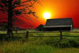 Imagem jigsaw puzzle