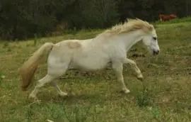 Welsh mountain jigsaw puzzle