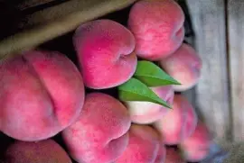 frutas jigsaw puzzle