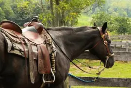 Imagem jigsaw puzzle