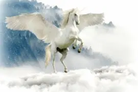 Imagem jigsaw puzzle