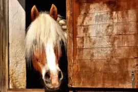 Imagem jigsaw puzzle