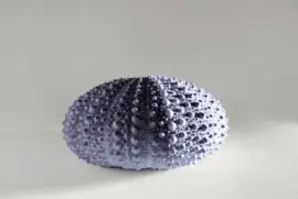 Imagem jigsaw puzzle