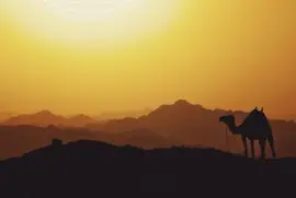 Imagem jigsaw puzzle