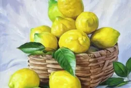 limoni jigsaw puzzle