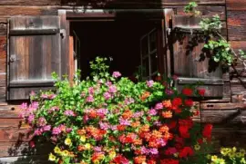 Imagem jigsaw puzzle