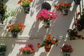 Imagem jigsaw puzzle