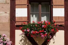 Imagem jigsaw puzzle