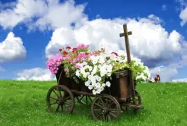 Imagem jigsaw puzzle