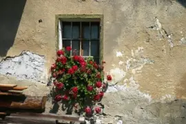 Imagem jigsaw puzzle