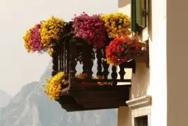 Imagem jigsaw puzzle