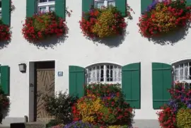 Imagem jigsaw puzzle