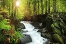 natureza jigsaw puzzle