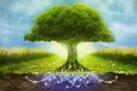 natureza jigsaw puzzle