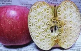 Imagem jigsaw puzzle