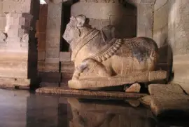 Imagem jigsaw puzzle