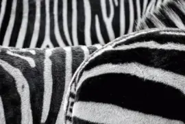 Imagem jigsaw puzzle