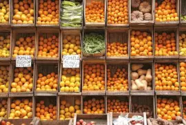 פאזל של Imagem