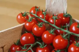 פאזל של Imagem