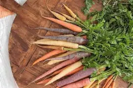 פאזל של natural