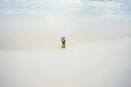 Imagem jigsaw puzzle