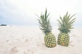 Imagem jigsaw puzzle