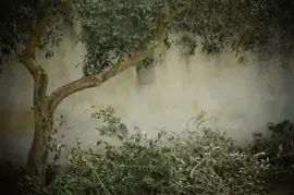 Imagem jigsaw puzzle