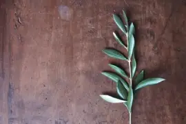 Imagem jigsaw puzzle