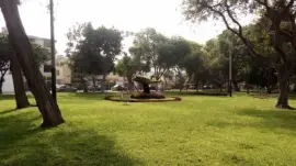 JaÄÄ·Ã©Ä¼Ä¯Å„ Å¹abaÄºÃ¦ Rojas