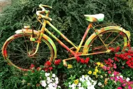 Imagem jigsaw puzzle