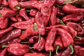 Imagem jigsaw puzzle