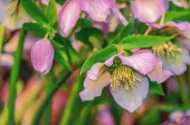 Imagem jigsaw puzzle