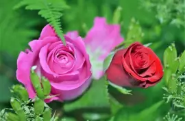 flores jigsaw puzzle