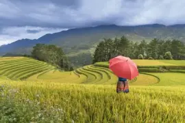 Imagem jigsaw puzzle