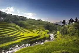 Imagem jigsaw puzzle