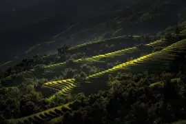 Imagem jigsaw puzzle