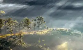 Imagem jigsaw puzzle