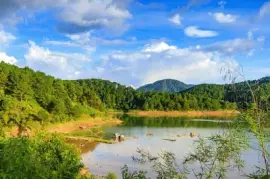 Imagem jigsaw puzzle