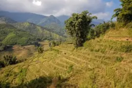 Imagem jigsaw puzzle