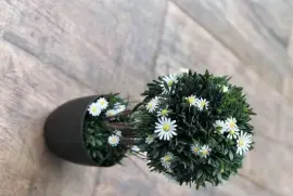 flores jigsaw puzzle