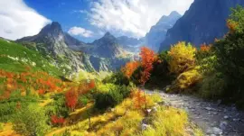 naturaleza jigsaw puzzle